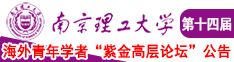 欧美性感美女被插站长统计南京理工大学第十四届海外青年学者紫金论坛诚邀海内外英才！